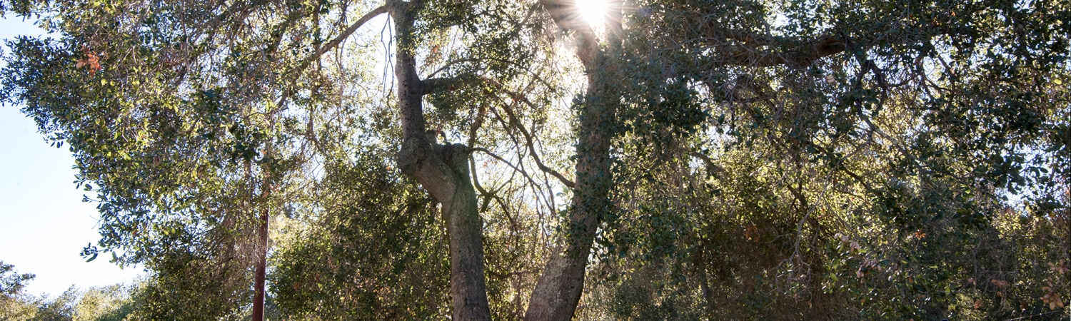 WE BELIEVE IN COMMITTMENT...to our members, our culture, our customs, our traditions, and our future opportunities.