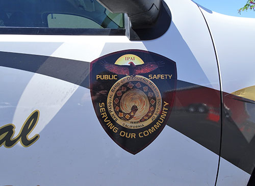 Public Safety Federal Police Department