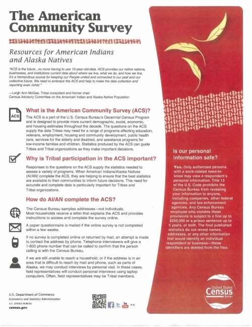 The American Community Survey Flyer